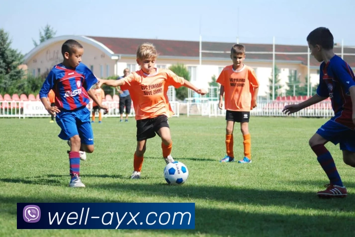 爱游戏体育品牌故事